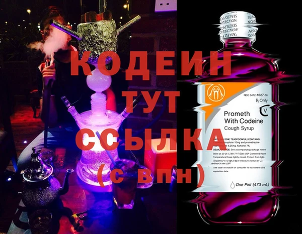 прущие грибы Алзамай
