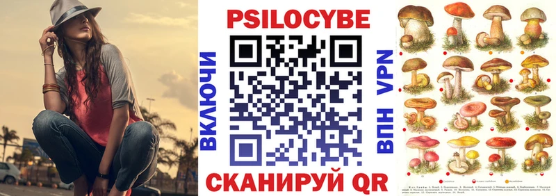 Галлюциногенные грибы Cubensis Бодайбо