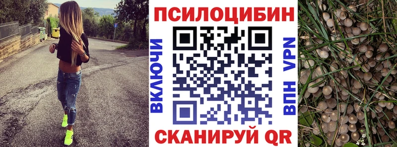 Галлюциногенные грибы мицелий  Бодайбо 